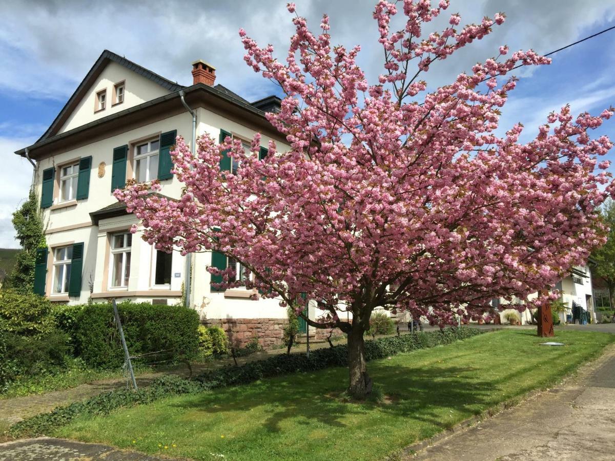 Ferienbungalow Kampenheissji Wiltingen Exterior foto